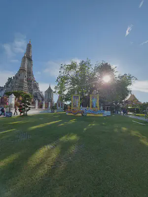 The Great Bodhi Tree at the Wat Arun Ratchawararam Ratchawaramahawihan (Wat Arun temple), Bangkok, Thailand
