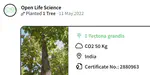 OLS team plants a tree dedicated to its cohort-4 in the OLS forest