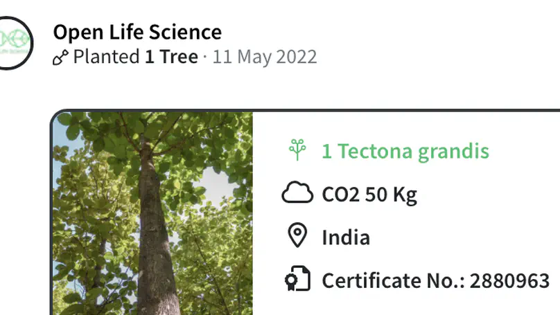 OLS team plants a tree dedicated to its cohort-4 in the OLS forest